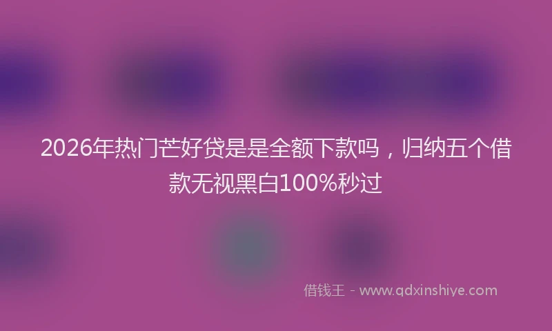 2026年热门芒好贷是是全额下款吗，归纳五个借款无视黑白100%秒过