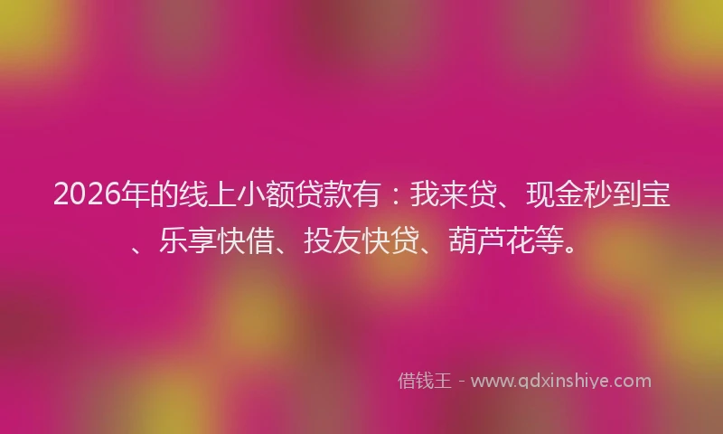 2026年的线上小额贷款有：我来贷、现金秒到宝、乐享快借、投友快贷、葫芦花等。