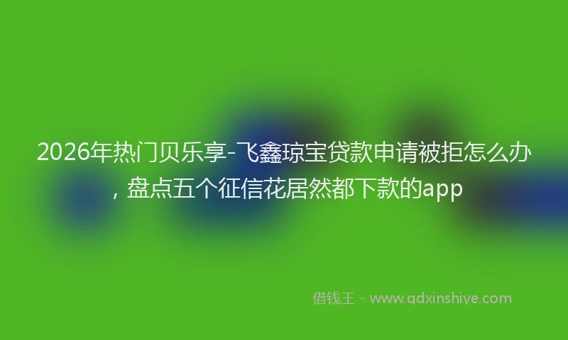 2026年热门贝乐享-飞鑫琼宝贷款申请被拒怎么办，盘点五个征信花居然都下款的app