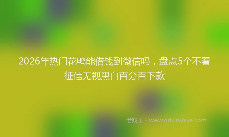 2026年热门花鸭能借钱到微信吗，盘点5个不看征信无视黑白百分百下款