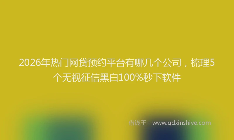 2026年热门网贷预约平台有哪几个公司，梳理5个无视征信黑白100%秒下软件