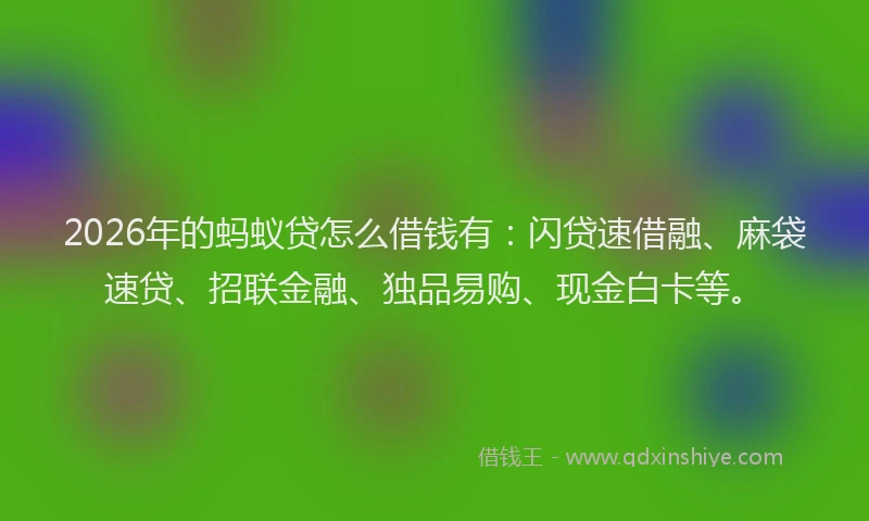 2026年的蚂蚁贷怎么借钱有：闪贷速借融、麻袋速贷、招联金融、独品易购、现金白卡等。