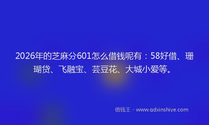 2026年的芝麻分601怎么借钱呢有：58好借、珊瑚贷、飞融宝、芸豆花、大城小爱等。