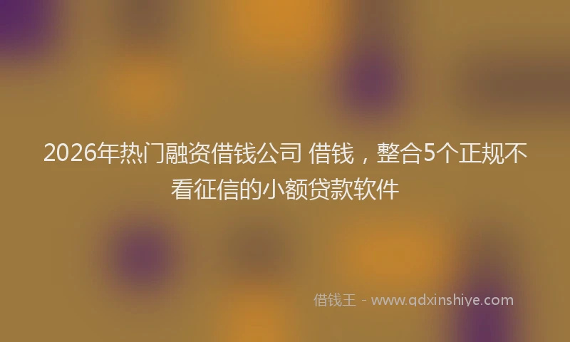 2026年热门融资借钱公司 借钱，整合5个正规不看征信的小额贷款软件