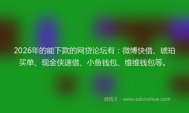 2026年的能下款的网贷论坛有：微博快借、琥珀买单、现金侠速借、小鱼钱包、维维钱包等。