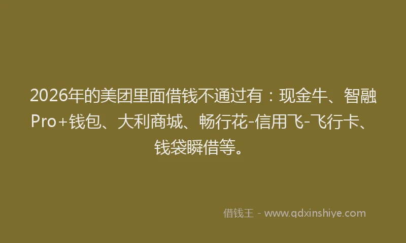 2026年的美团里面借钱不通过有:现金牛、智融Pro+钱包、大利商城、畅行花-信用飞-飞行卡、钱袋瞬借等。