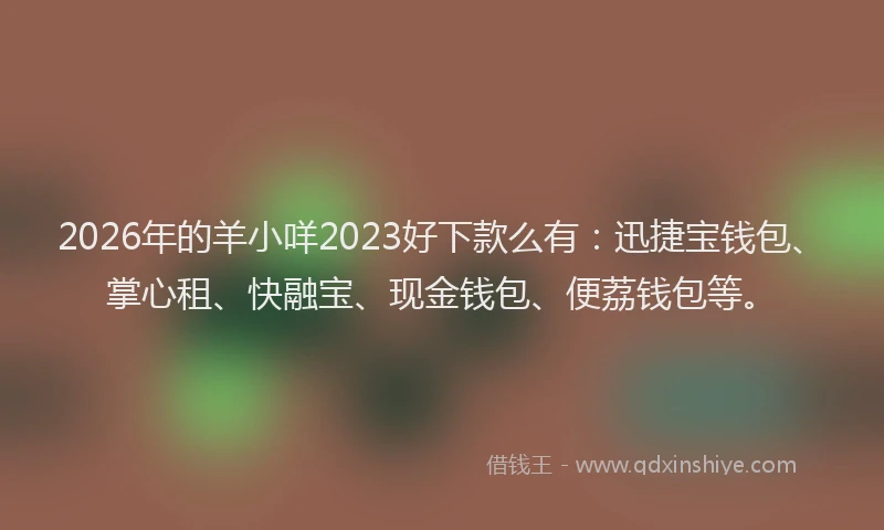 2026年的羊小咩2023好下款么有:迅捷宝钱包、掌心租、快融宝、现金钱包、便荔钱包等。