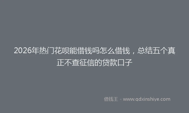 2026年热门花呗能借钱吗怎么借钱，总结五个真正不查征信的贷款口子