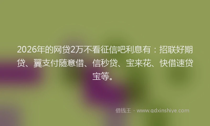 2026年的网贷2万不看征信吧利息有:招联好期贷、翼支付随意借、信秒贷、宝来花、快借速贷宝等。
