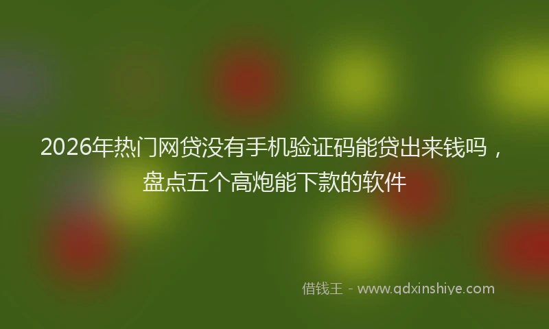 2026年热门网贷没有手机验证码能贷出来钱吗，盘点五个高炮能下款的软件