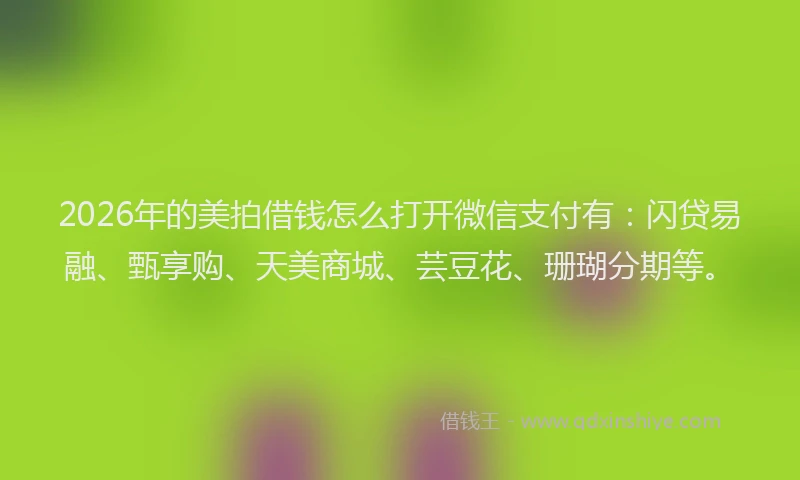2026年的美拍借钱怎么打开微信支付有：闪贷易融、甄享购、天美商城、芸豆花、珊瑚分期等。