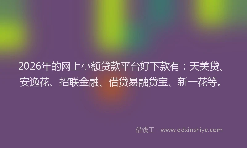 2026年的网上小额贷款平台好下款有：天美贷、安逸花、招联金融、借贷易融贷宝、新一花等。
