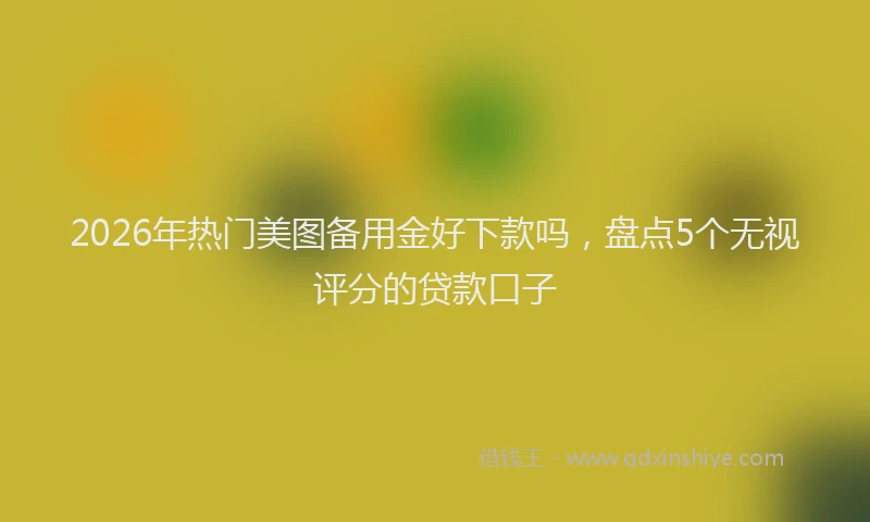 2026年热门美图备用金好下款吗，盘点5个无视评分的贷款口子