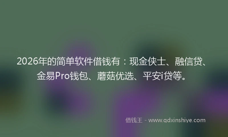 2026年的简单软件借钱有：现金侠士、融信贷、金易Pro钱包、蘑菇优选、平安i贷等。