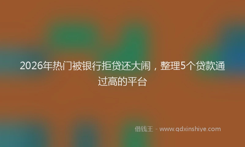 2026年热门被银行拒贷还大闹，整理5个贷款通过高的平台