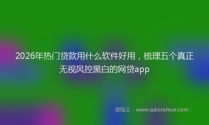 2026年热门贷款用什么软件好用，梳理五个真正无视风控黑白的网贷app