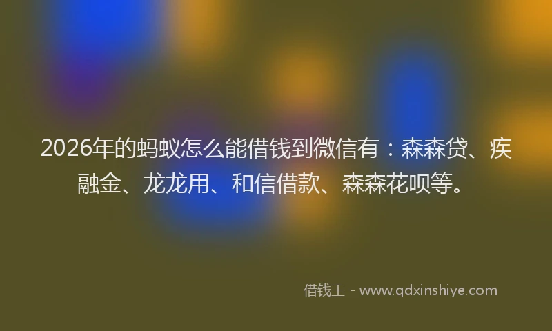 2026年的蚂蚁怎么能借钱到微信有：森森贷、疾融金、龙龙用、和信借款、森森花呗等。