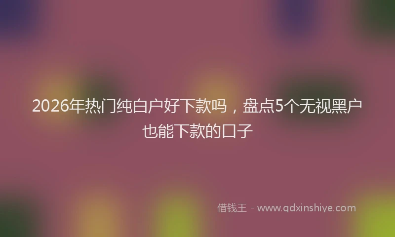 2026年热门纯白户好下款吗，盘点5个无视黑户也能下款的口子