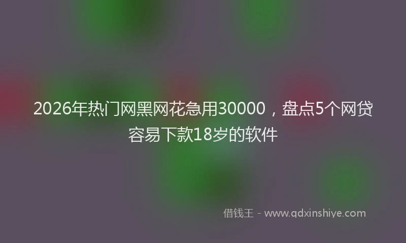 2026年热门网黑网花急用30000，盘点5个网贷容易下款18岁的软件
