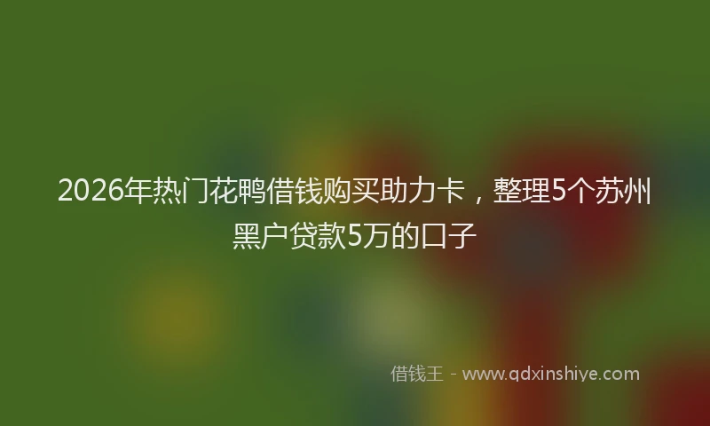 2026年热门花鸭借钱购买助力卡，整理5个苏州黑户贷款5万的口子