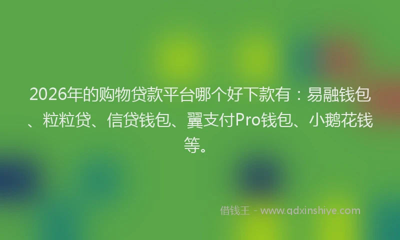 2026年的购物贷款平台哪个好下款有：易融钱包、粒粒贷、信贷钱包、翼支付Pro钱包、小鹅花钱等。