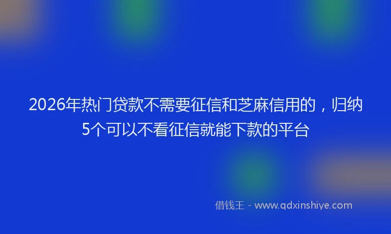 2026年热门贷款不需要征信和芝麻信用的，归纳5个可以不看征信就能下款的平台