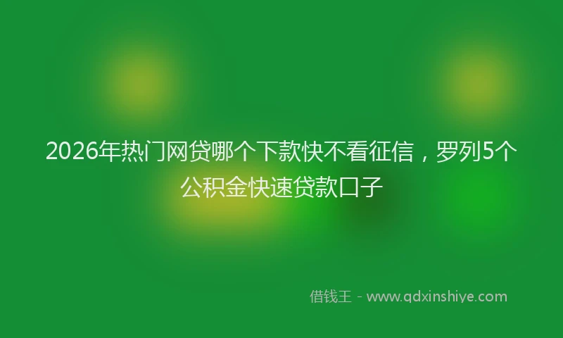 2026年热门网贷哪个下款快不看征信，罗列5个公积金快速贷款口子