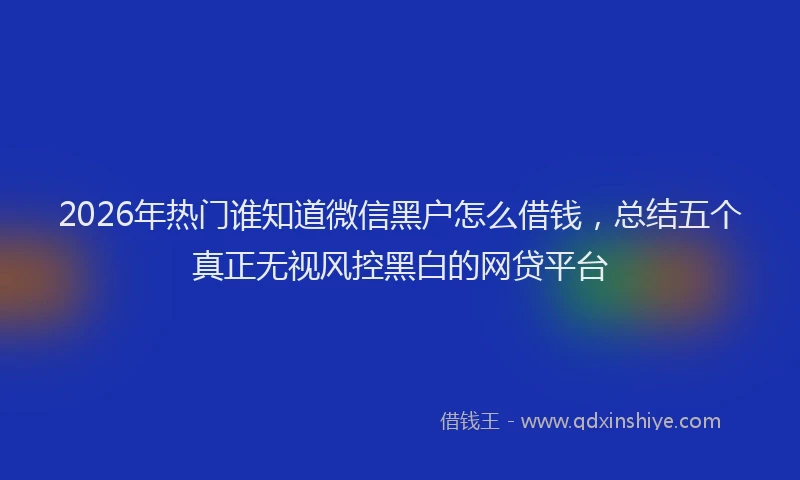 2026年热门谁知道微信黑户怎么借钱，总结五个真正无视风控黑白的网贷平台