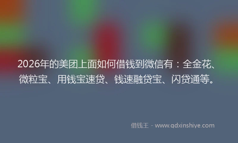 2026年的美团上面如何借钱到微信有：全金花、微粒宝、用钱宝速贷、钱速融贷宝、闪贷通等。