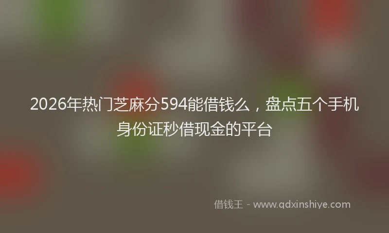 2026年热门芝麻分594能借钱么，盘点五个手机身份证秒借现金的平台