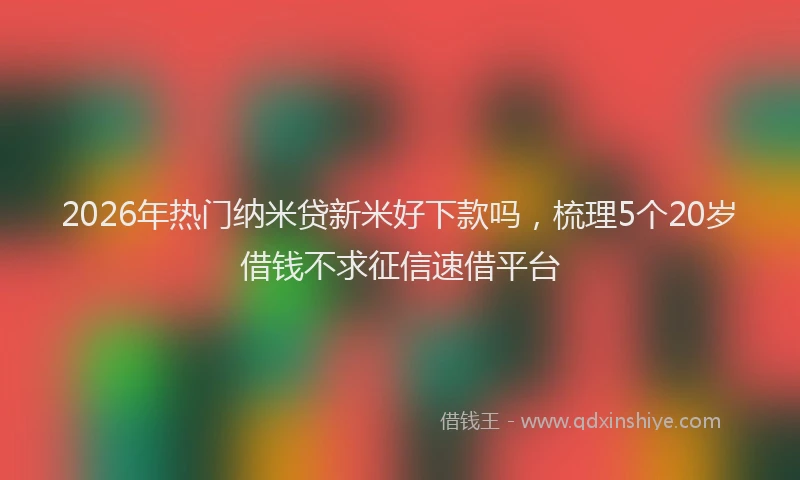 2026年热门纳米贷新米好下款吗，梳理5个20岁借钱不求征信速借平台