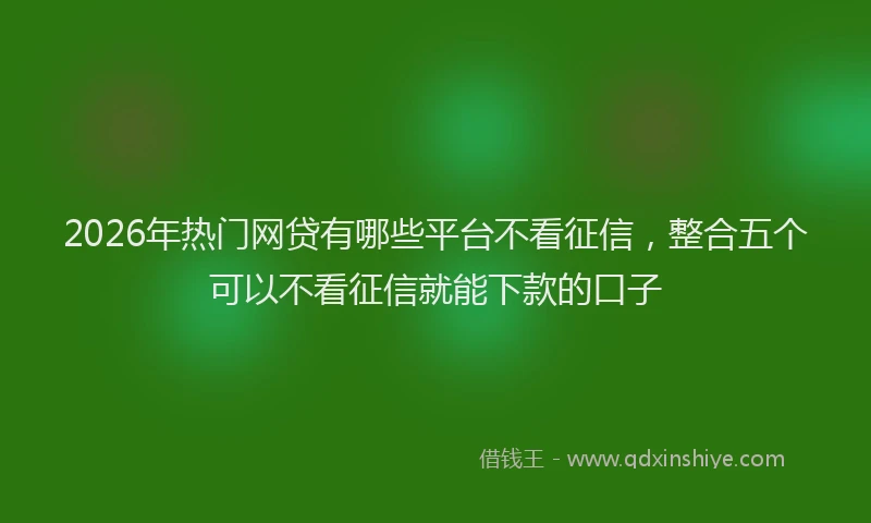 2026年热门网贷有哪些平台不看征信，整合五个可以不看征信就能下款的口子