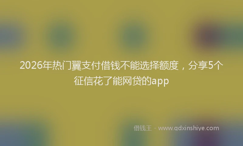 2026年热门翼支付借钱不能选择额度,分享5个征信花了能网贷的app