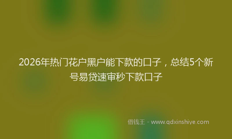 2026年热门花户黑户能下款的口子，总结5个新号易贷速审秒下款口子