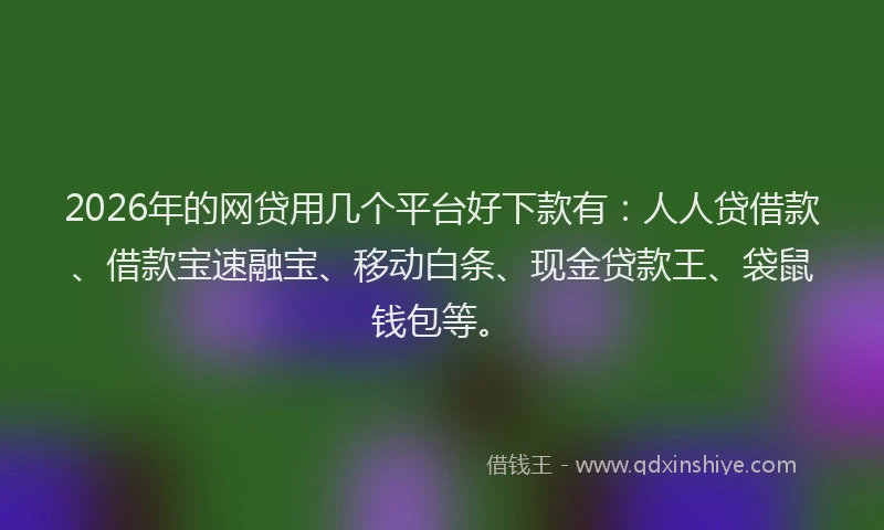 2026年的网贷用几个平台好下款有：人人贷借款、借款宝速融宝、移动白条、现金贷款王、袋鼠钱包等。