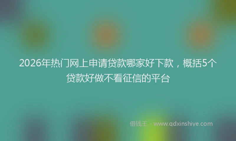 2026年热门网上申请贷款哪家好下款，概括5个贷款好做不看征信的平台