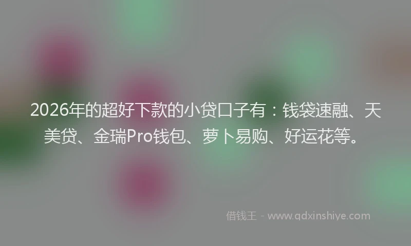 2026年的超好下款的小贷口子有：钱袋速融、天美贷、金瑞Pro钱包、萝卜易购、好运花等。