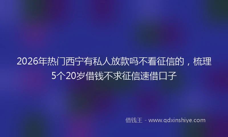 2026年热门西宁有私人放款吗不看征信的，梳理5个20岁借钱不求征信速借口子