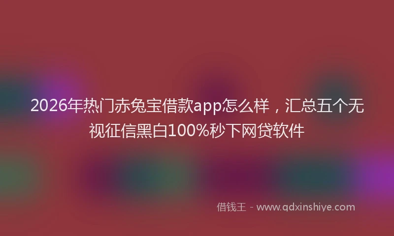 2026年热门赤兔宝借款app怎么样，汇总五个无视征信黑白100%秒下网贷软件