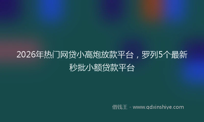 2026年热门网贷小高炮放款平台,罗列5个最新秒批小额贷款平台