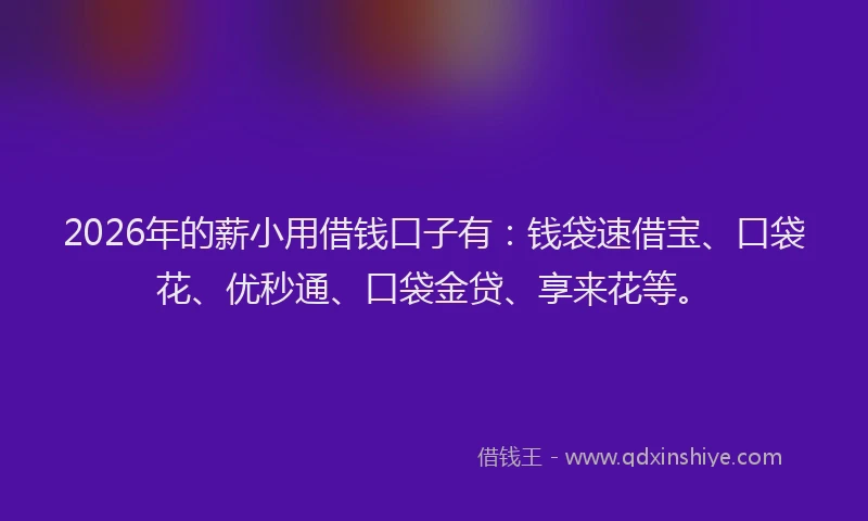 2026年的薪小用借钱口子有：钱袋速借宝、口袋花、优秒通、口袋金贷、享来花等。