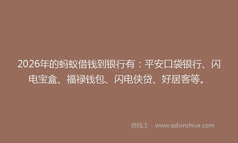 2026年的蚂蚁借钱到银行有：平安口袋银行、闪电宝盒、福禄钱包、闪电侠贷、好居客等。