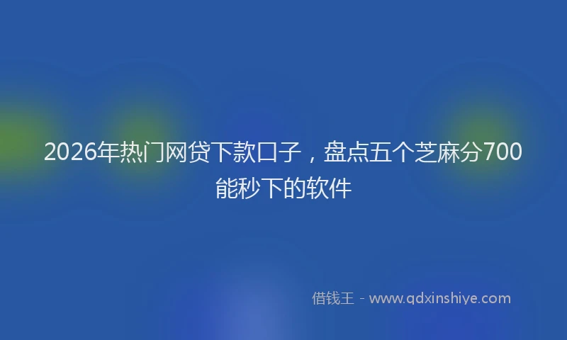 2026年热门网贷下款口子,盘点五个芝麻分700能秒下的软件
