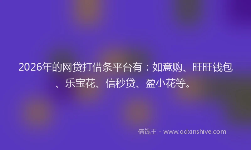 2026年的网贷打借条平台有：如意购、旺旺钱包、乐宝花、信秒贷、盈小花等。