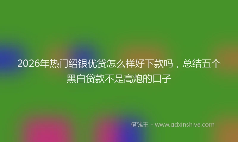 2026年热门绍银优贷怎么样好下款吗，总结五个黑白贷款不是高炮的口子