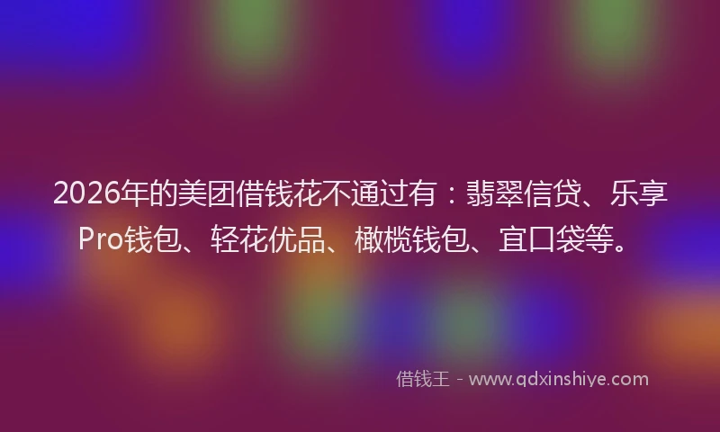 2026年的美团借钱花不通过有:翡翠信贷、乐享Pro钱包、轻花优品、橄榄钱包、宜口袋等。