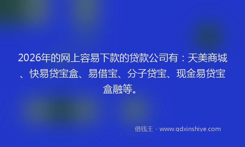 2026年的网上容易下款的贷款公司有：天美商城、快易贷宝盒、易借宝、分子贷宝、现金易贷宝盒融等。