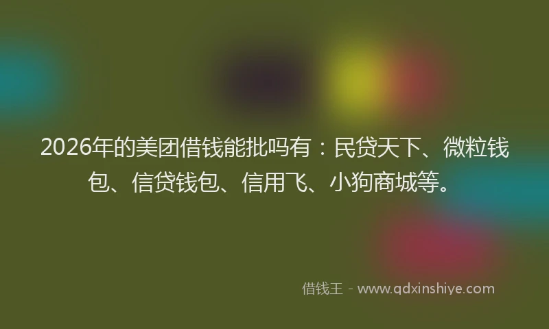 2026年的美团借钱能批吗有:民贷天下、微粒钱包、信贷钱包、信用飞、小狗商城等。