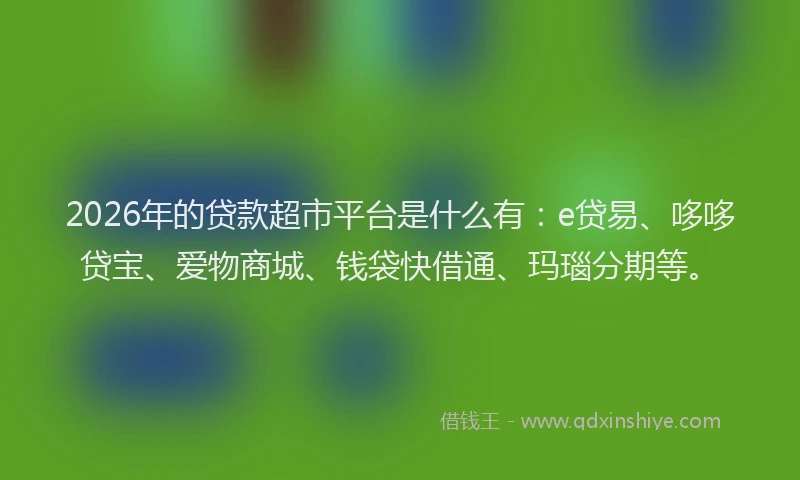 2026年的贷款超市平台是什么有：e贷易、哆哆贷宝、爱物商城、钱袋快借通、玛瑙分期等。