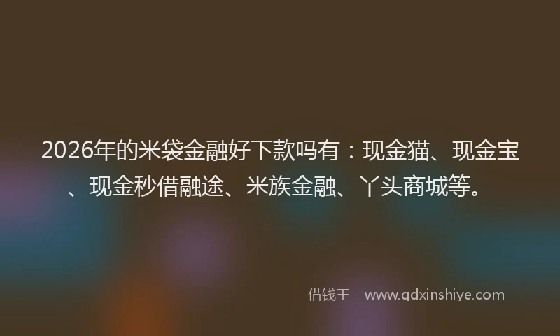 2026年的米袋金融好下款吗有：现金猫、现金宝、现金秒借融途、米族金融、丫头商城等。